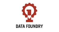 Data Foundry Logo