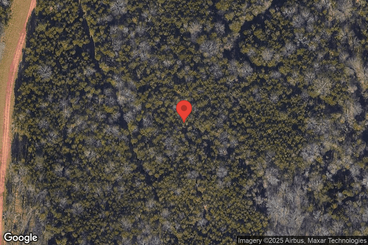 Leesburg - Satellite View