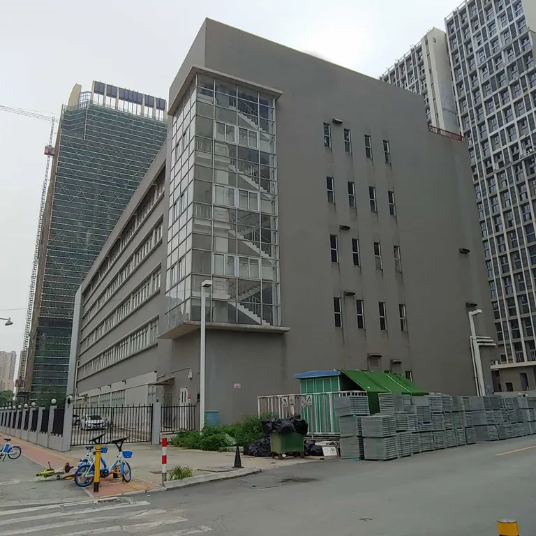 Foshan FS1