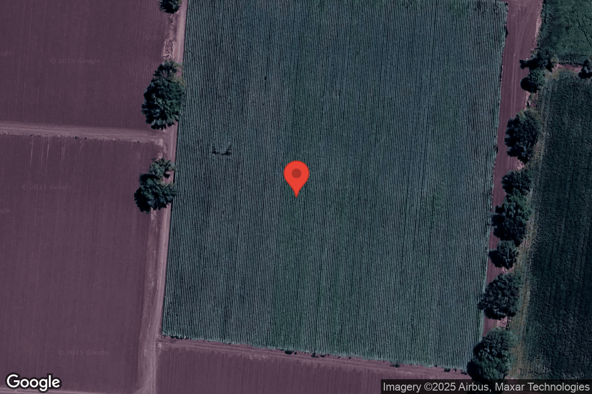 MEX1 - Mexico - Satellite View